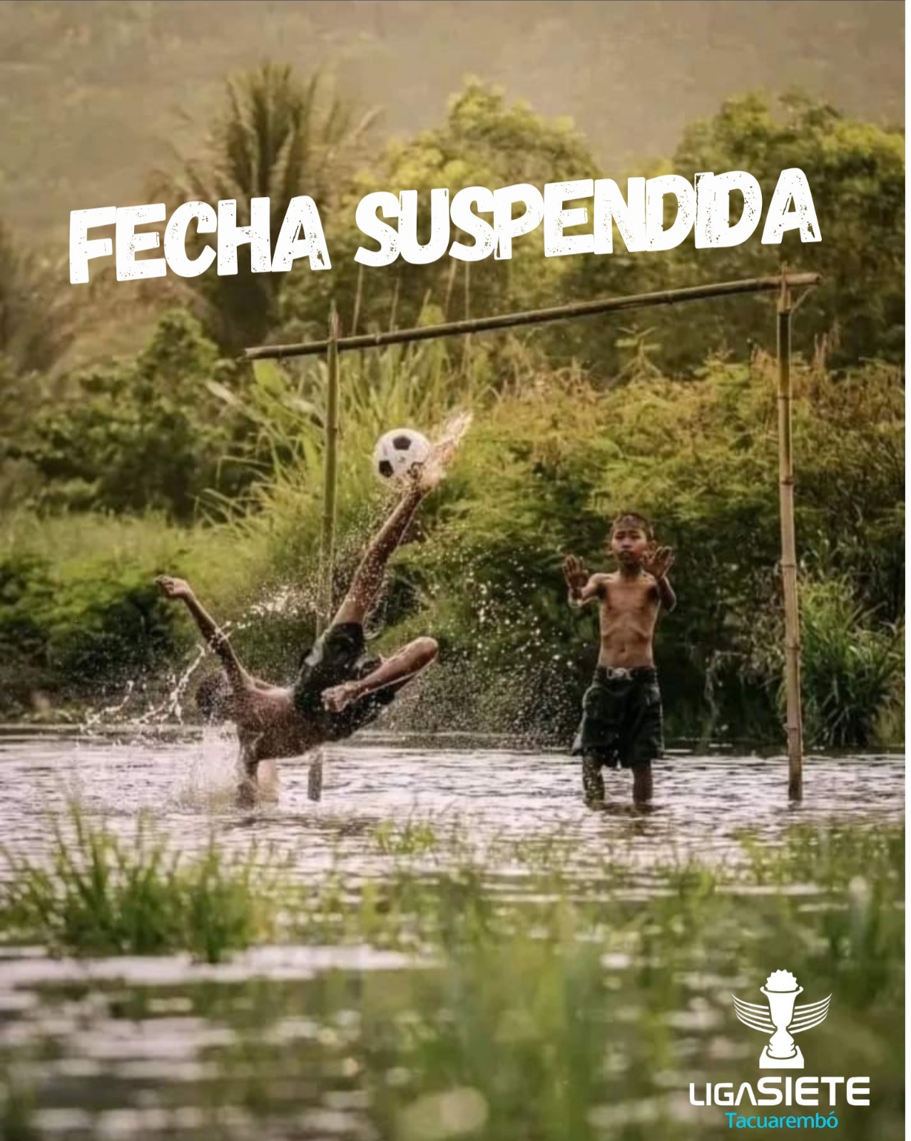 Fecha Suspendida